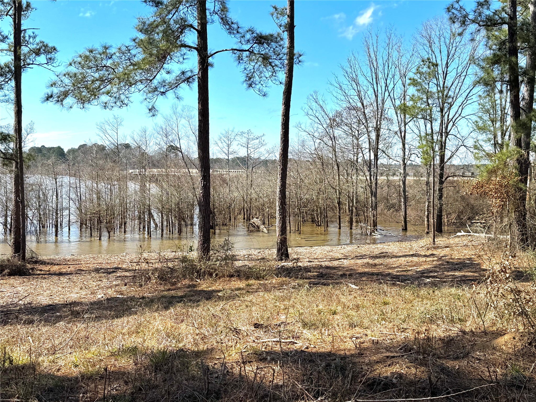 3 Fm 83 Bronson, TX 75930 - Photo 2 of 25 a view of a backyard of the house