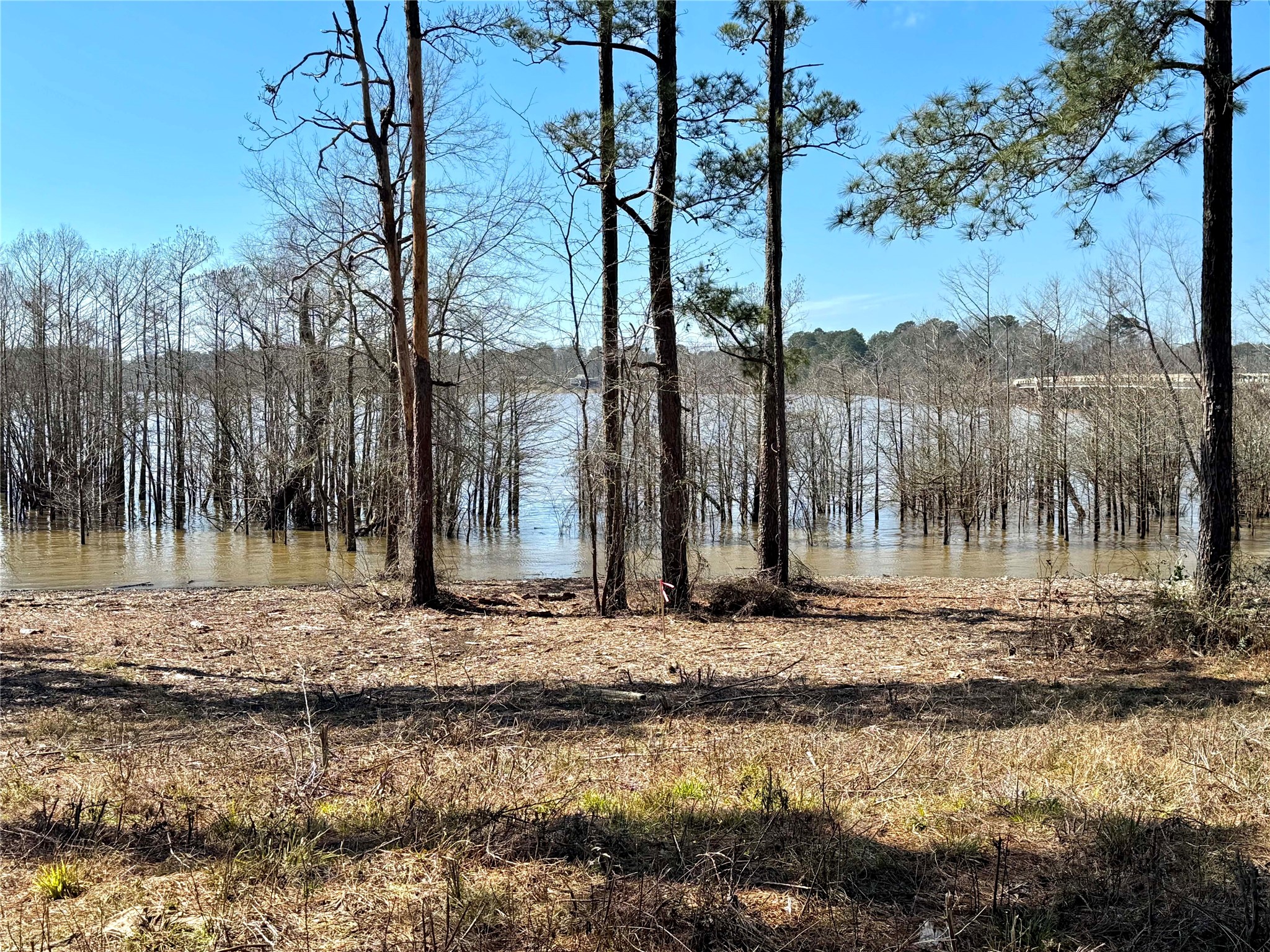 3 Fm 83 Bronson, TX 75930 - Photo 10 of 25 a view of a house with a yard
