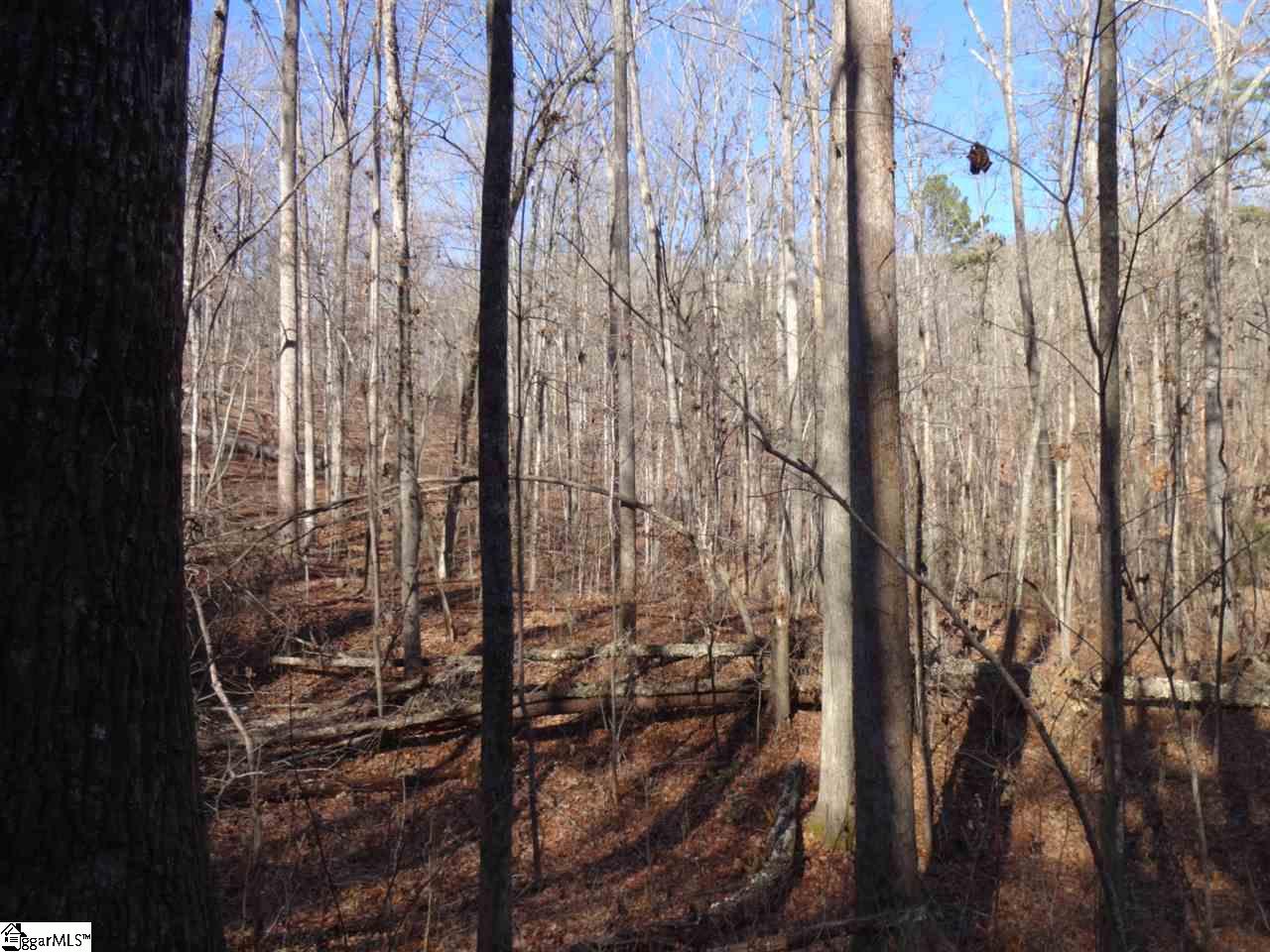 Spy Rock Road Westminster, SC 29693 - Photo 2 of 28 Gallery Image 2