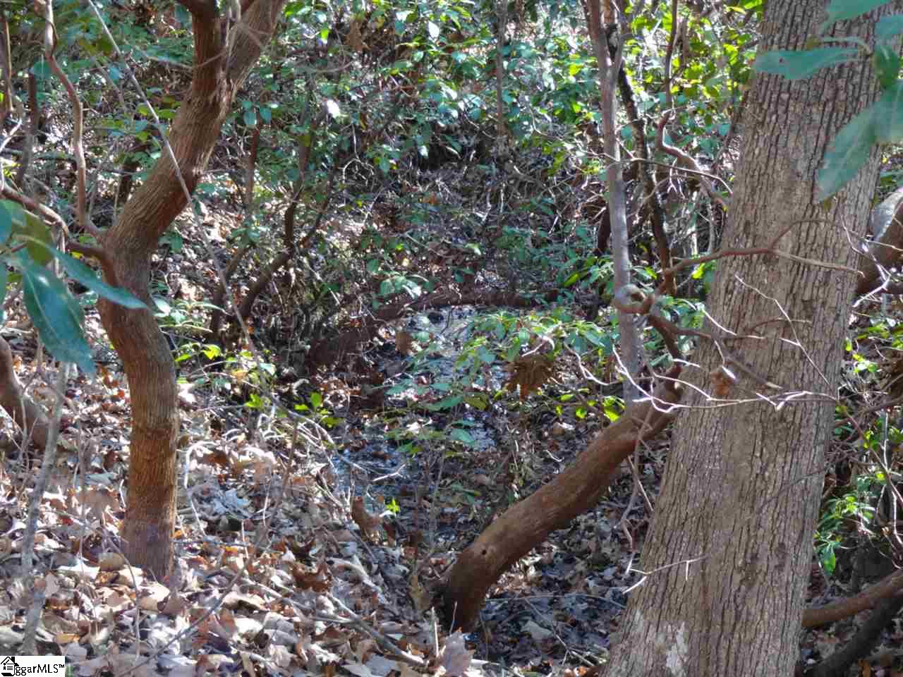 Spy Rock Road Westminster, SC 29693 - Photo 11 of 28 Gallery Image 11