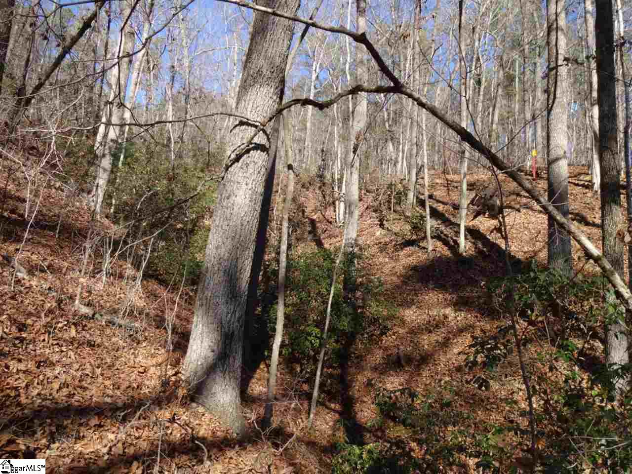 Spy Rock Road Westminster, SC 29693 - Photo 14 of 28 Gallery Image 14