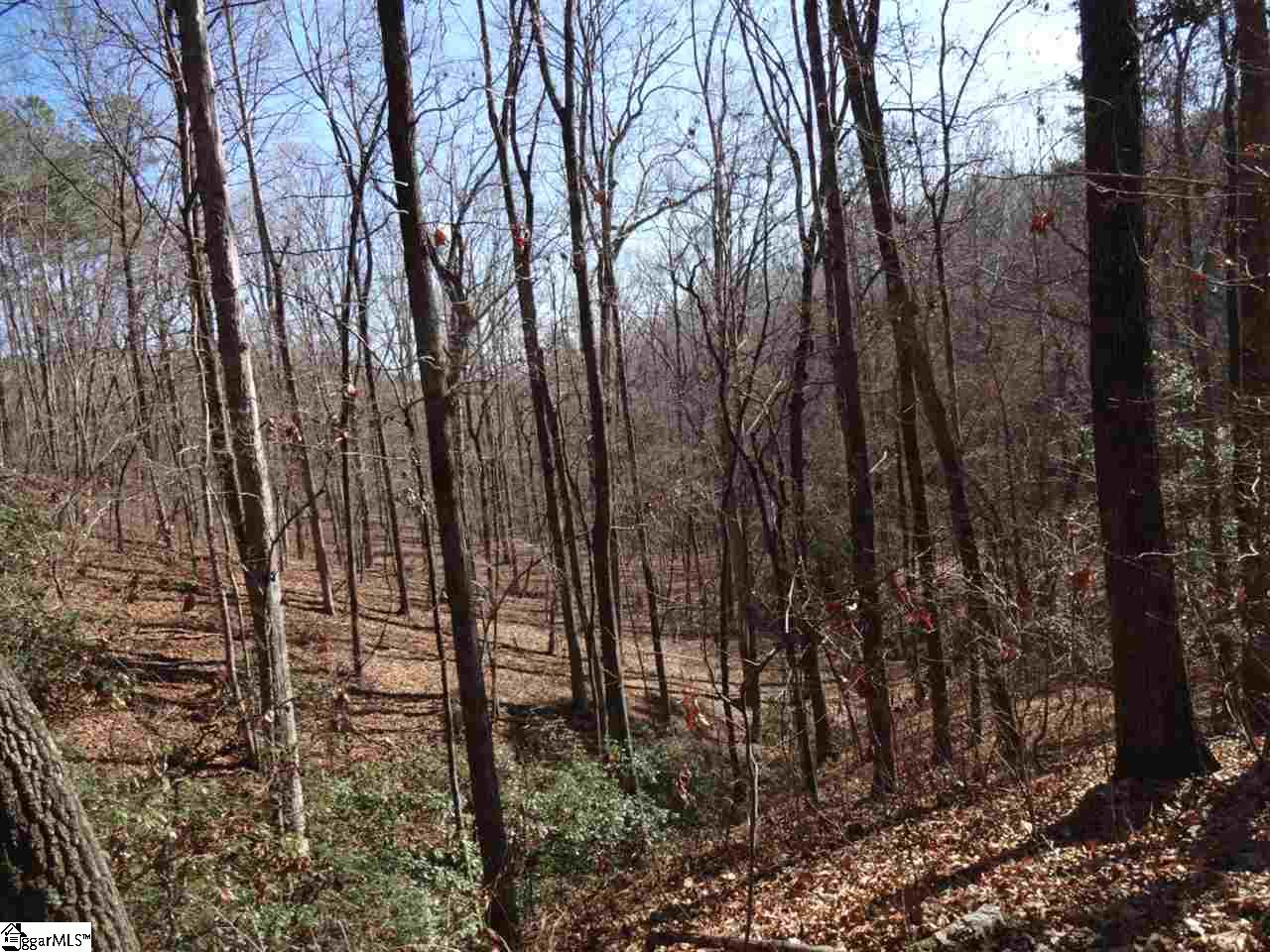 Spy Rock Road Westminster, SC 29693 - Photo 15 of 28 Gallery Image 15