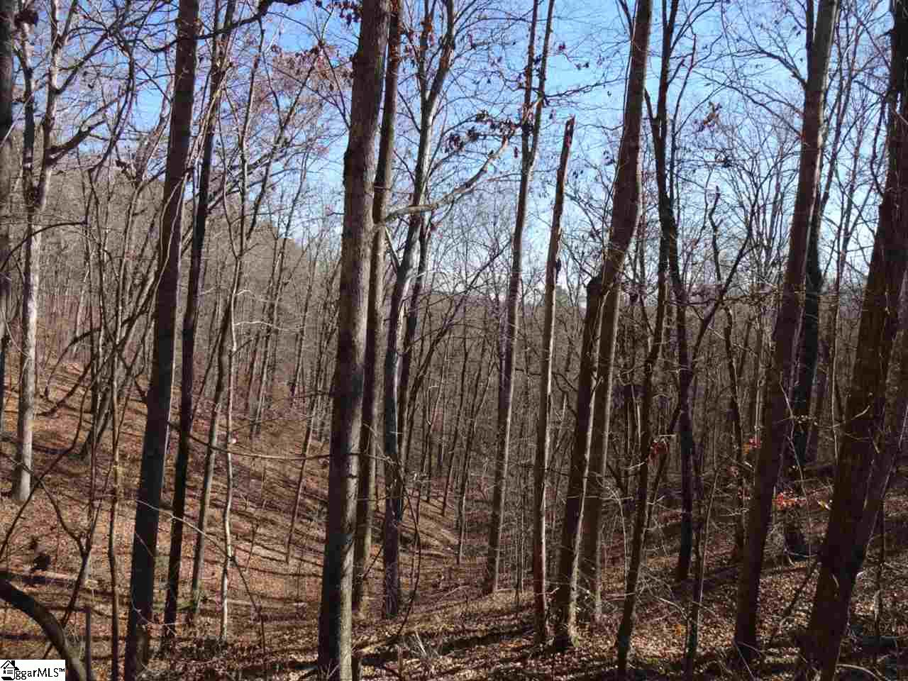 Spy Rock Road Westminster, SC 29693 - Photo 20 of 28 Gallery Image 20