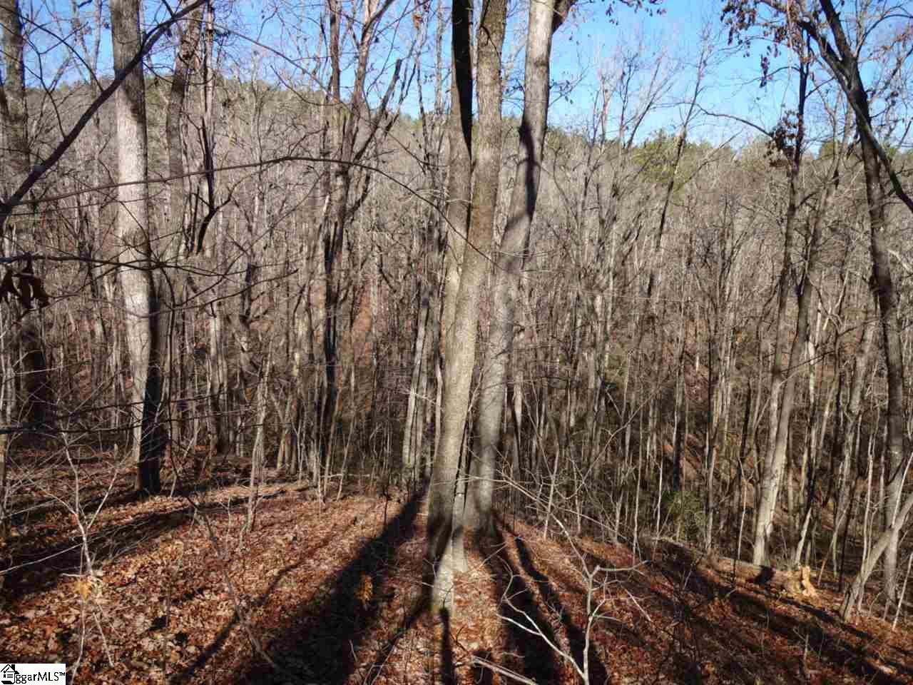 Spy Rock Road Westminster, SC 29693 - Photo 3 of 28 Gallery Image 3