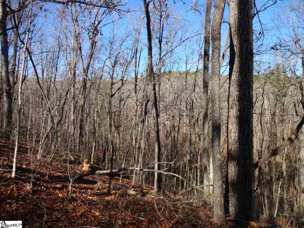 Spy Rock Road Westminster, SC 29693 - Photo 5 of 28 Gallery Image 5