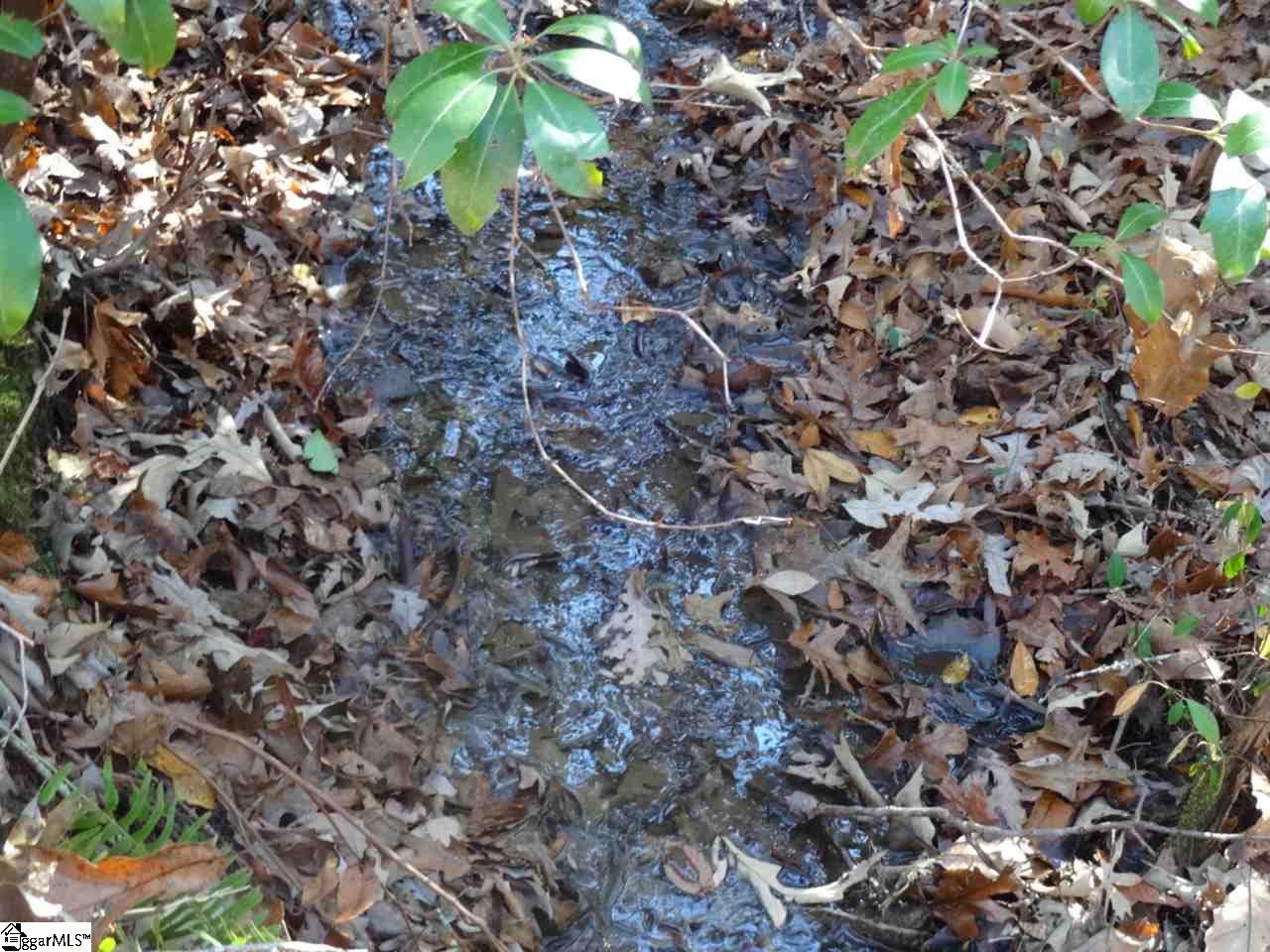 Spy Rock Road Westminster, SC 29693 - Photo 10 of 28 Gallery Image 10