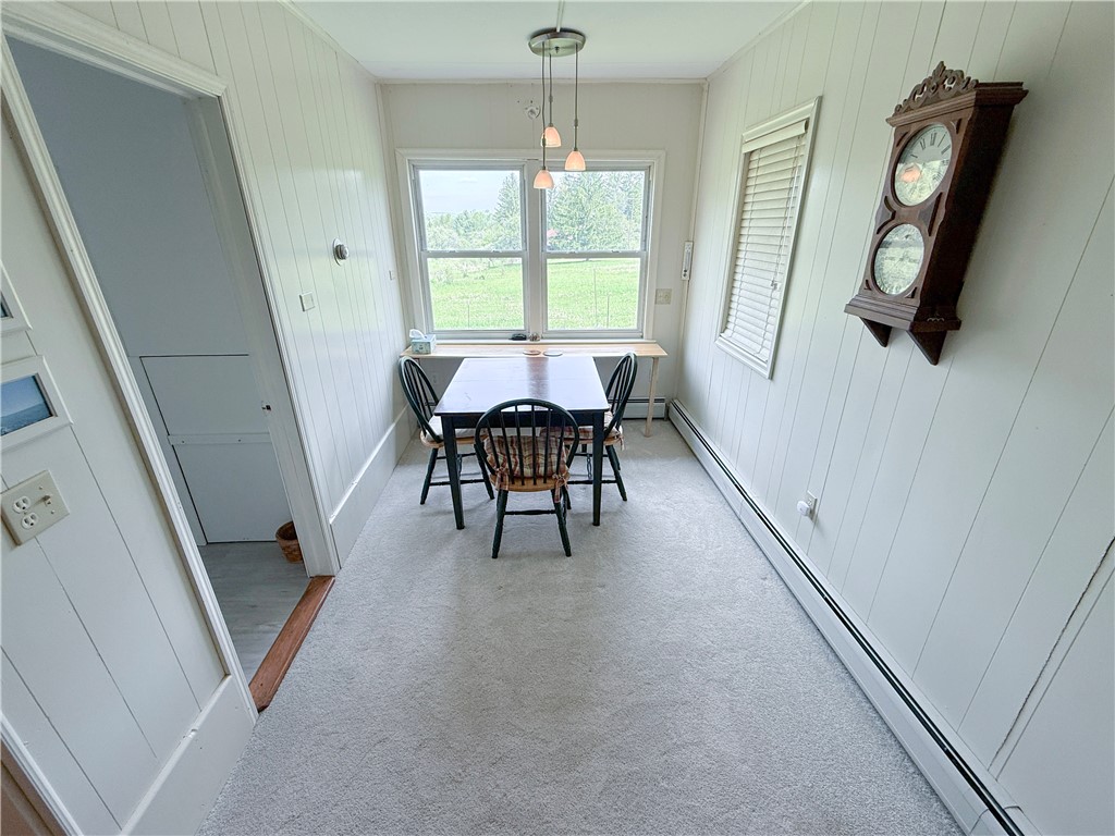 450 Dean Creek Road Spencer, NY 14883 - Photo 8 of 50