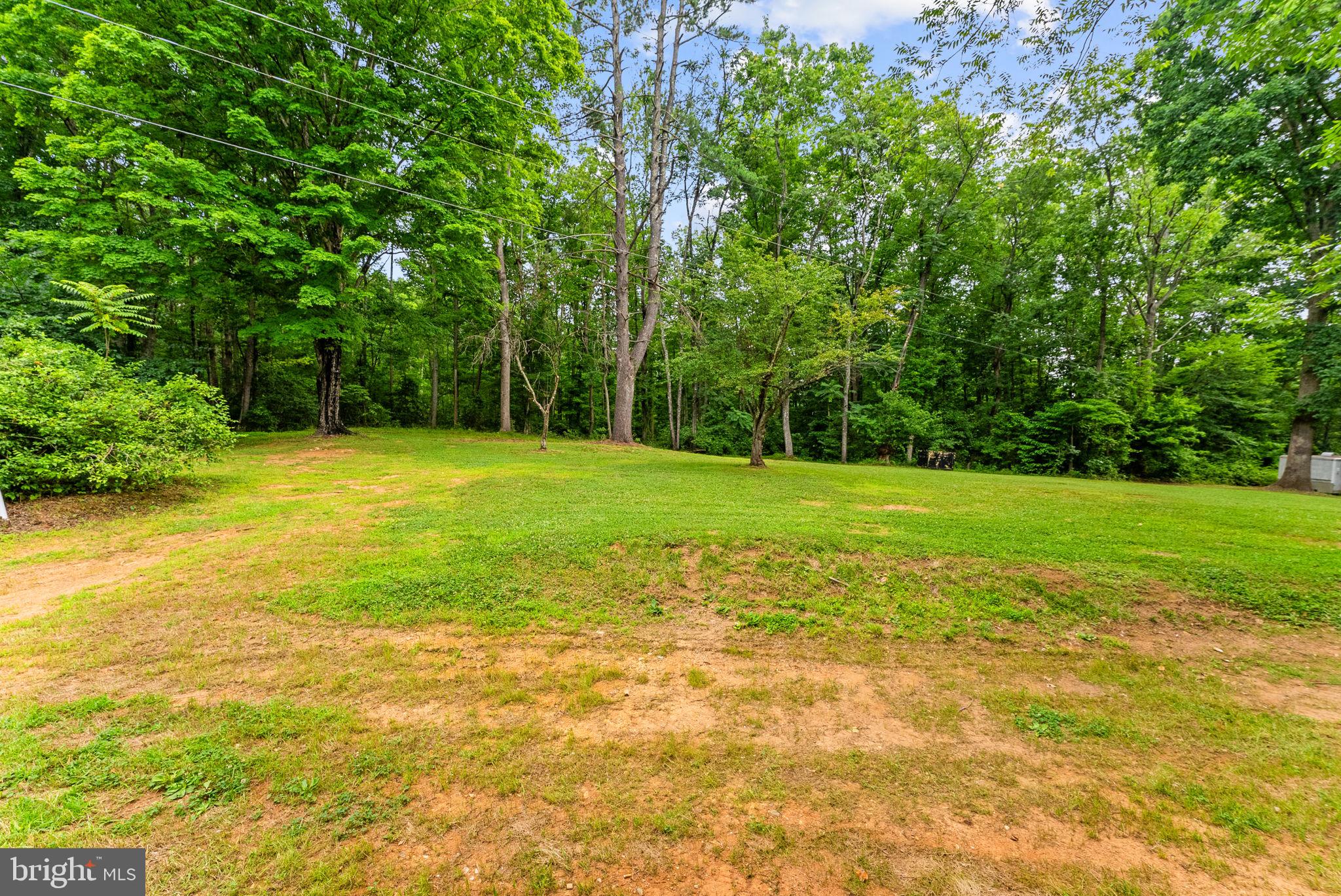 2303 West Hoover Road Haywood, VA 22722 - Photo 36 of 69 Lots of Open Lawn Surrounded by Mature Trees