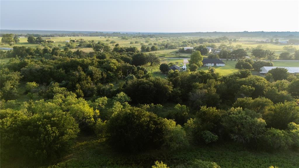 1320 Tidwell Road Weatherford, TX 76087 - Photo 3 of 17