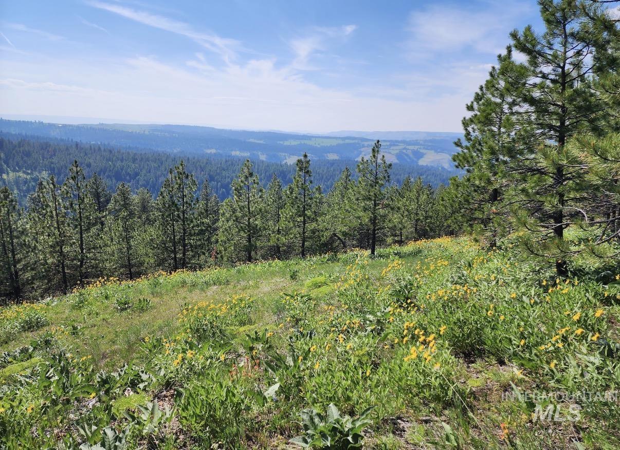 Lot 91 Pilgrim Ridge Road White Bird, ID 83554 - Photo 26 of 35