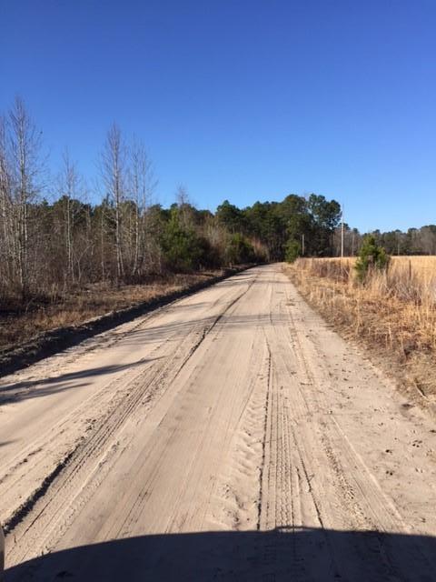 Tbd Roxborough Drive Elloree, SC 29047 - Photo 1 of 6 Kayland5