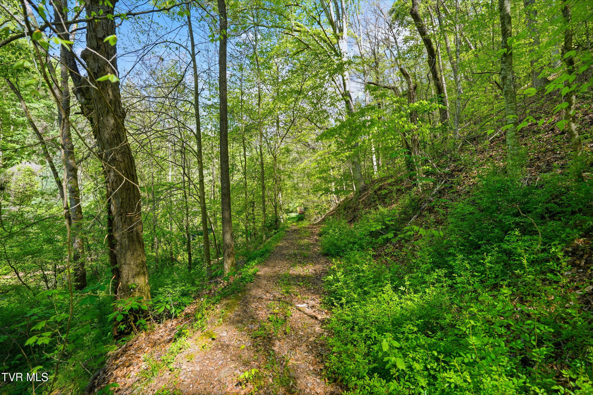 2235 Wampler Hollow Road Big Stone Gap, VA 24219 - Photo 15 of 84 NATURE TRAILS