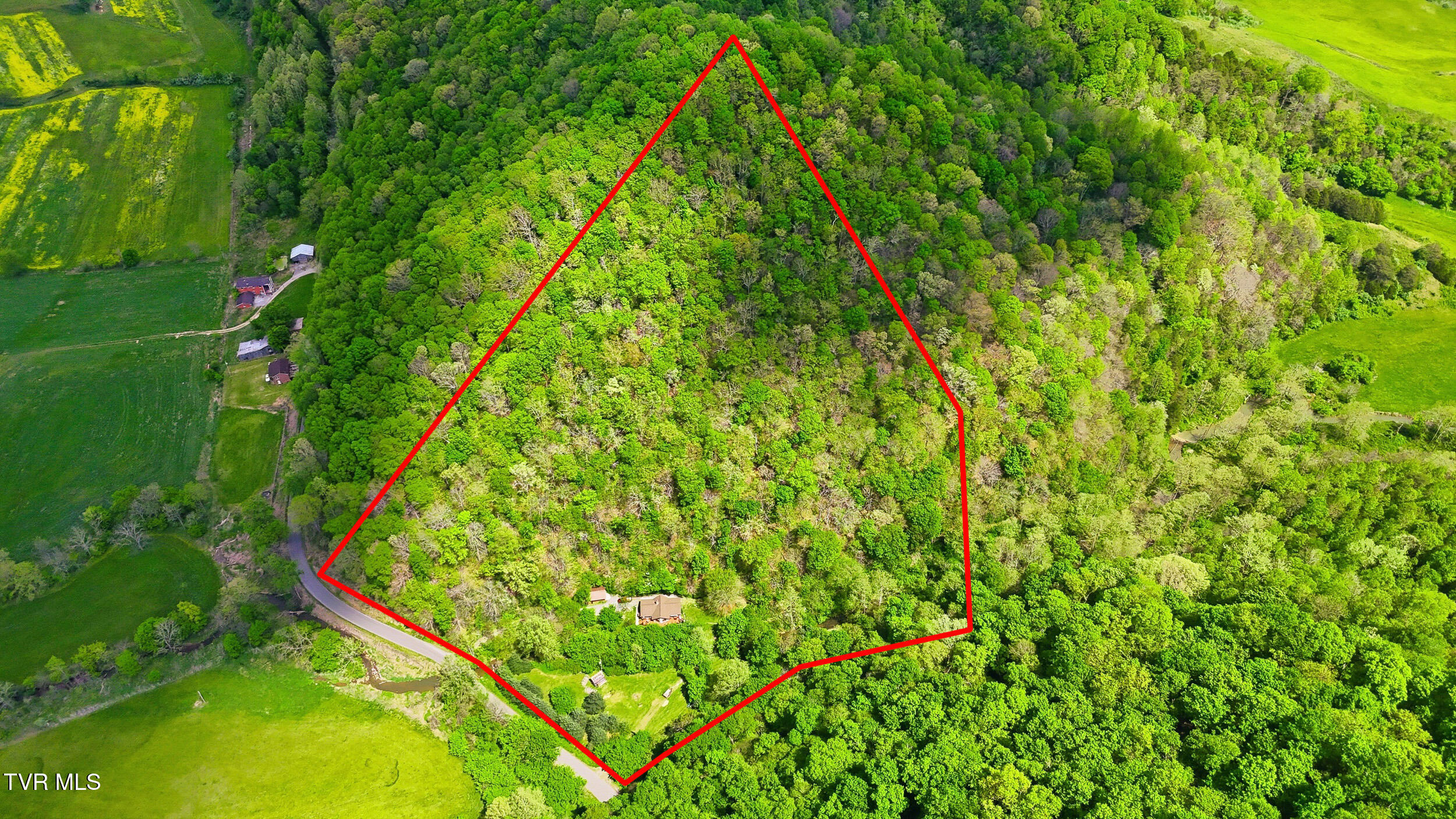 2235 Wampler Hollow Road Big Stone Gap, VA 24219 - Photo 19 of 84 14+ ACRES