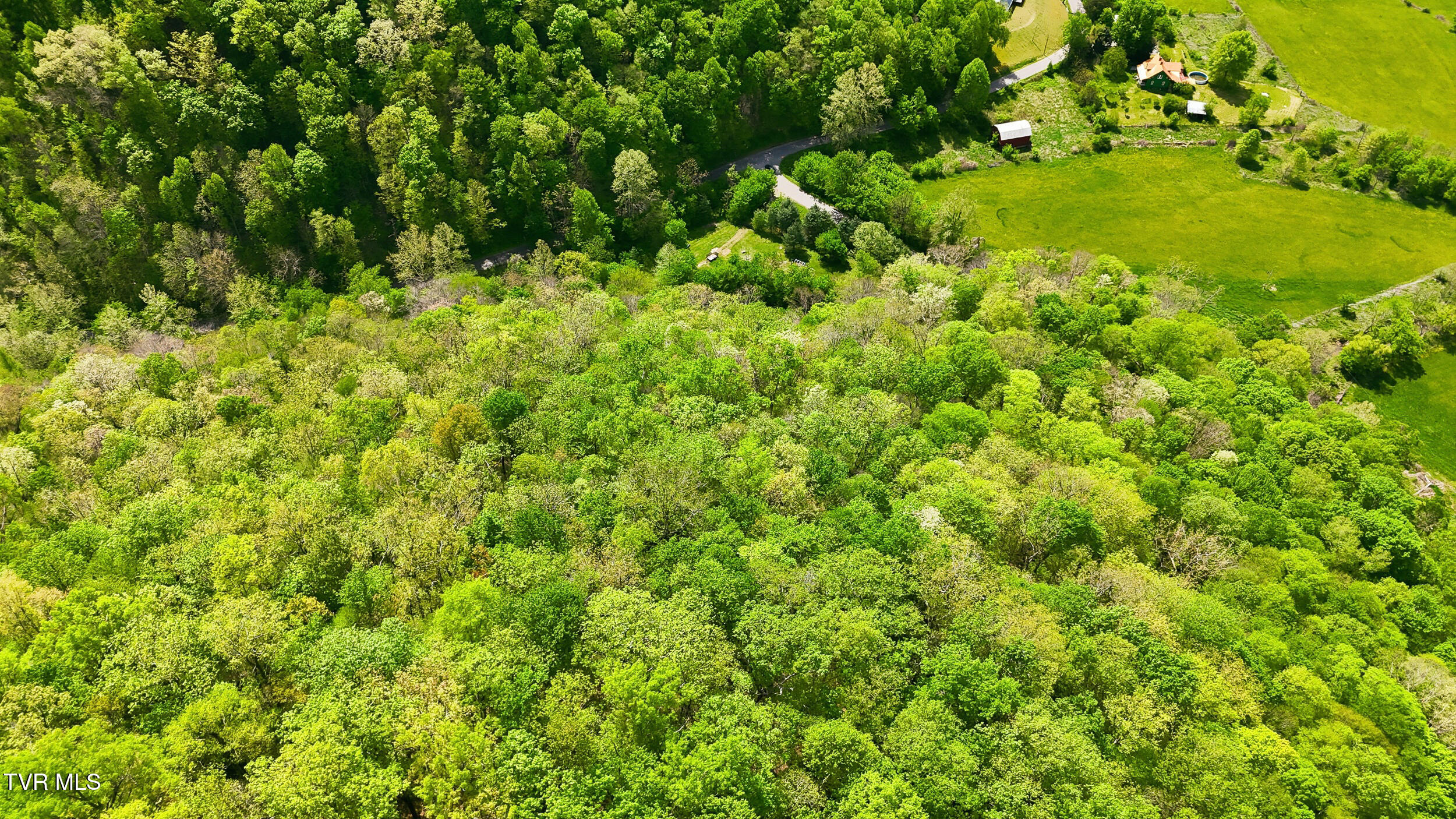 2235 Wampler Hollow Road Big Stone Gap, VA 24219 - Photo 66 of 84 *