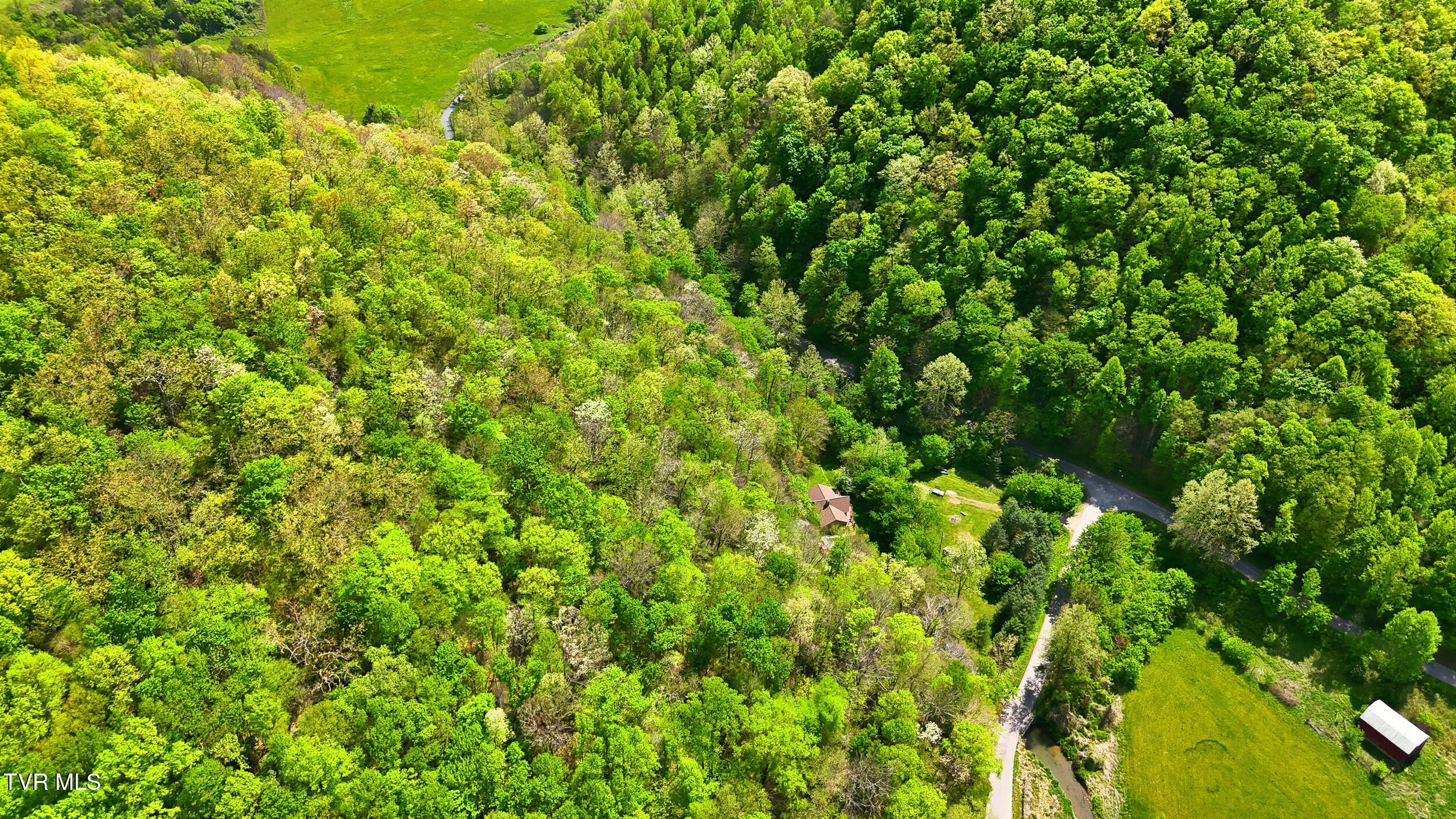 2235 Wampler Hollow Road Big Stone Gap, VA 24219 - Photo 67 of 84 *