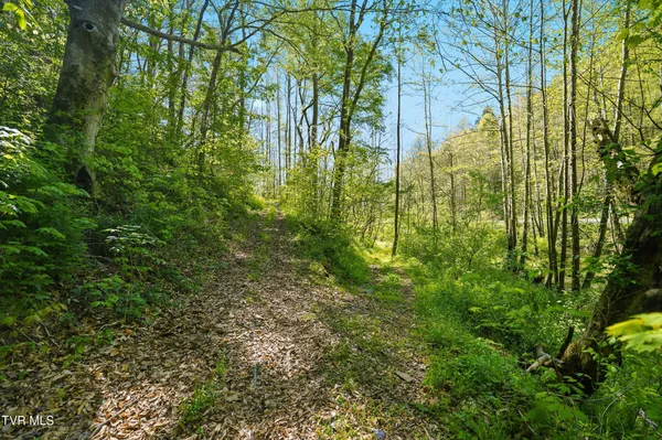 $420,000 | 2235 Wampler Hollow Road, Big Stone Gap, VA 24219
