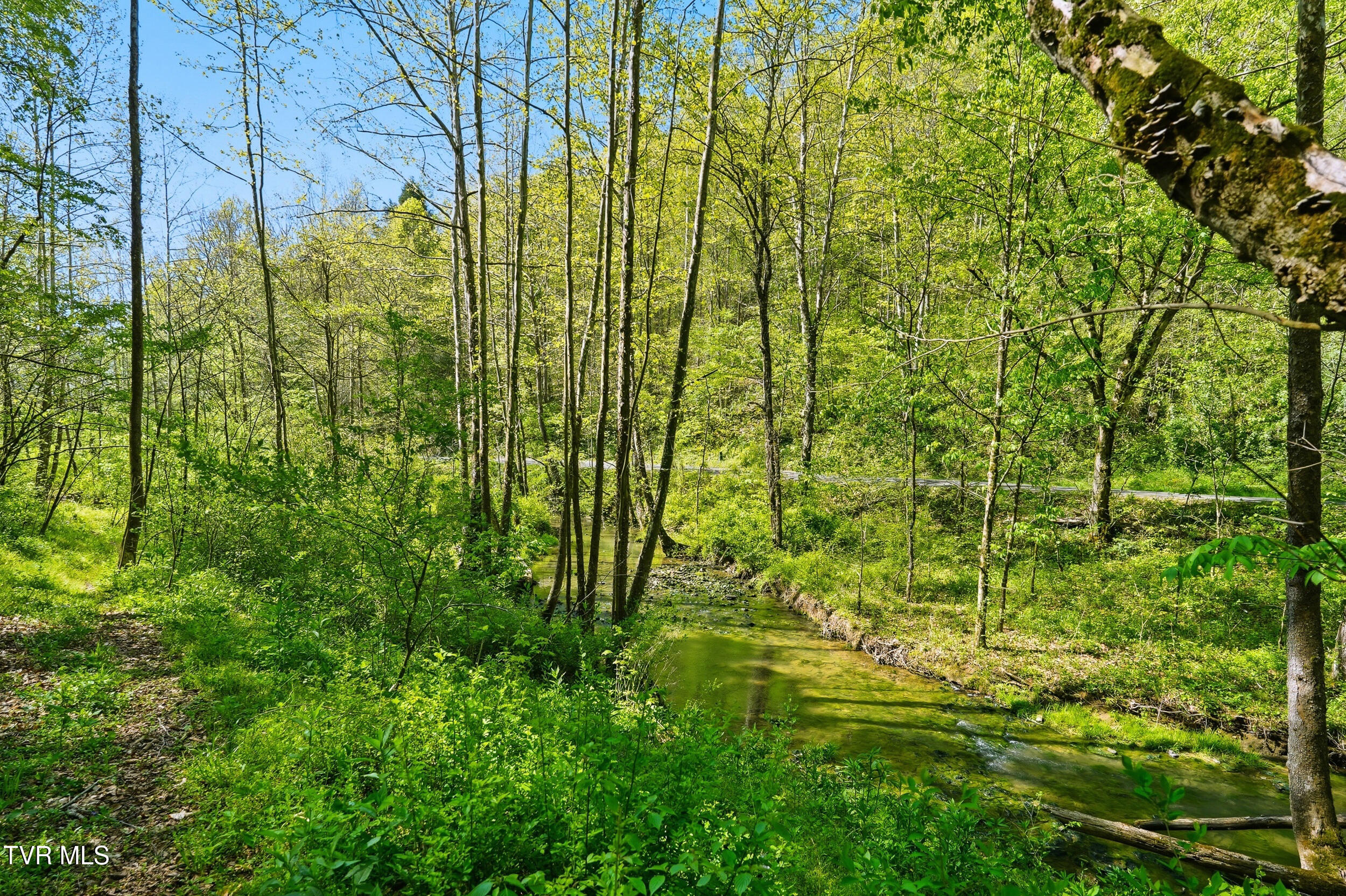 2235 Wampler Hollow Road Big Stone Gap, VA 24219 - Photo 75 of 84 *