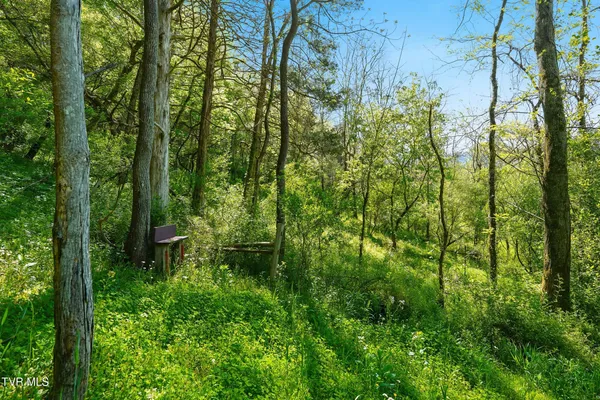 $420,000 | 2235 Wampler Hollow Road, Big Stone Gap, VA 24219