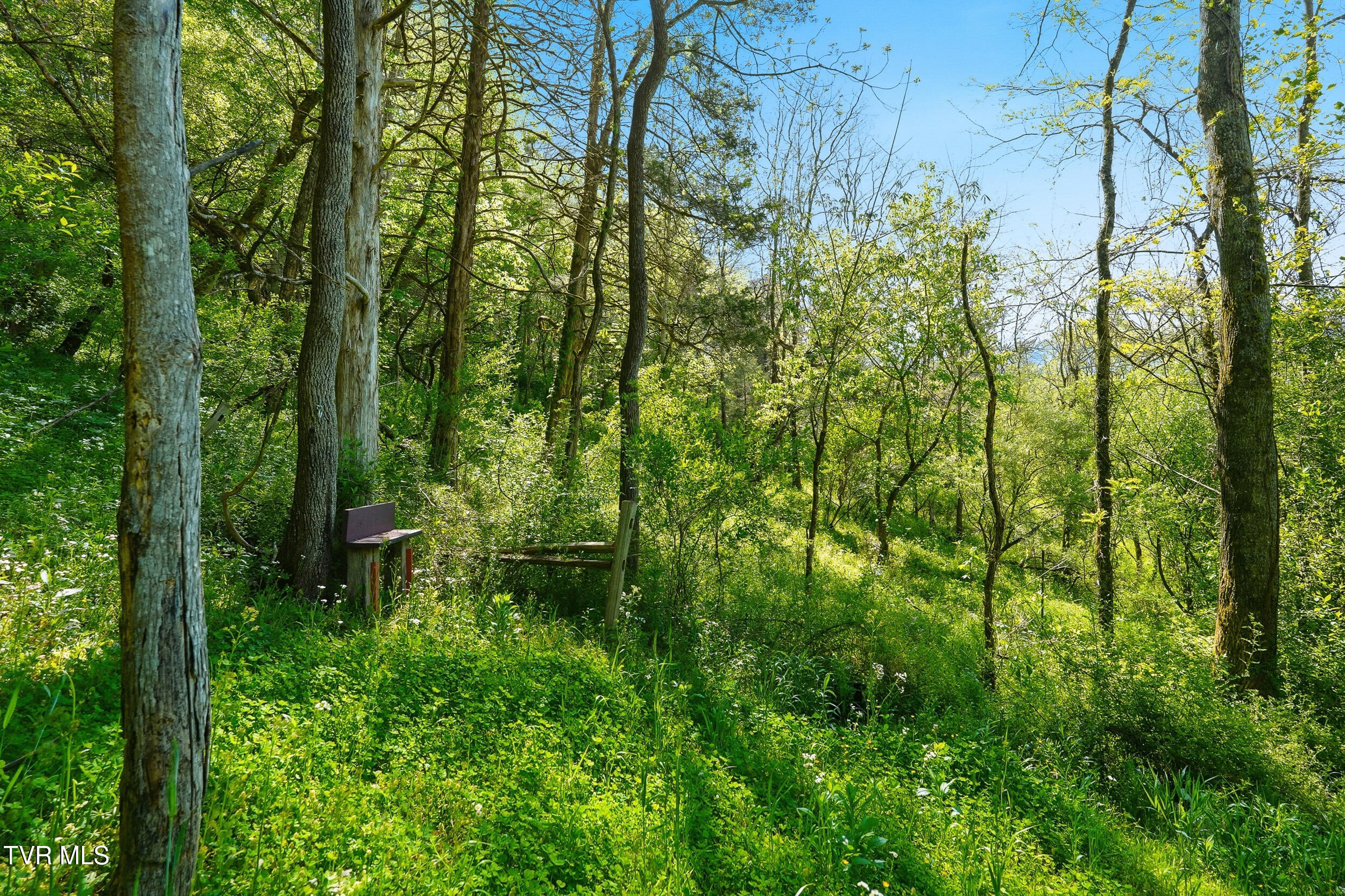 2235 Wampler Hollow Road Big Stone Gap, VA 24219 - Photo 76 of 84 *