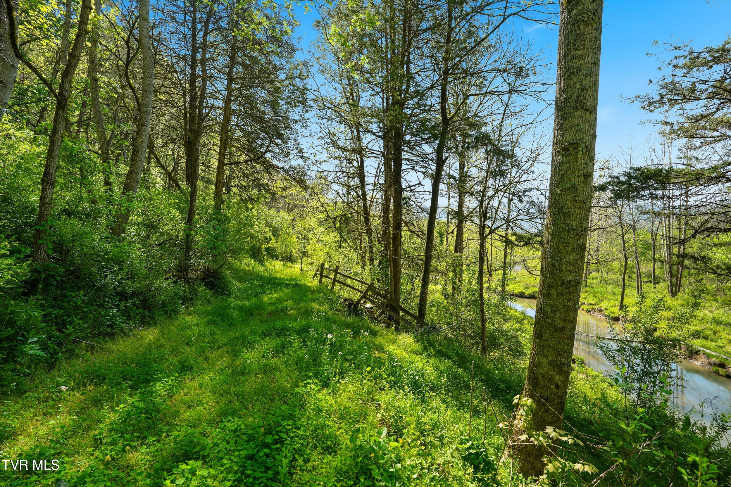 2235 Wampler Hollow Road Big Stone Gap, VA 24219 - Photo 80 of 84 *