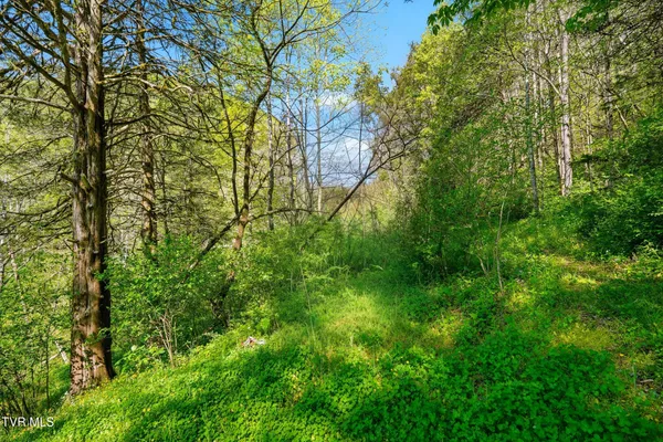 $420,000 | 2235 Wampler Hollow Road, Big Stone Gap, VA 24219
