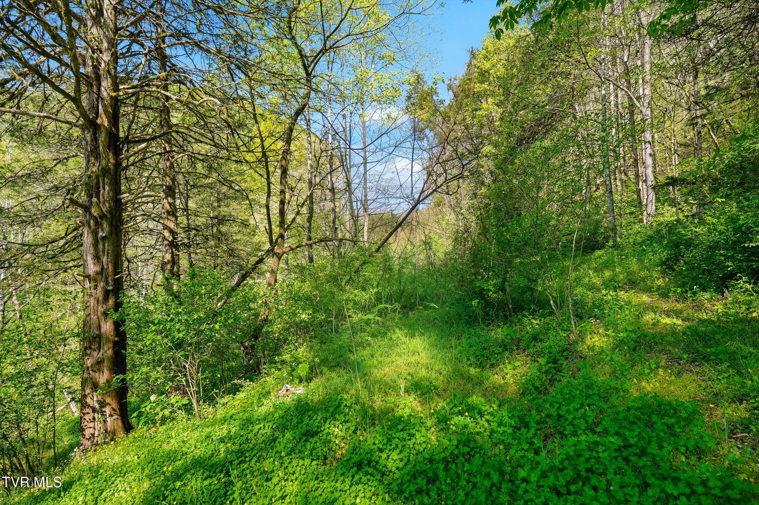 2235 Wampler Hollow Road Big Stone Gap, VA 24219 - Photo 81 of 84 *