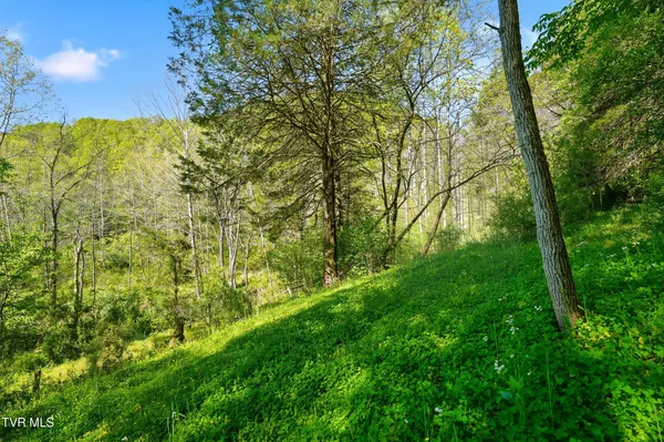 $420,000 | 2235 Wampler Hollow Road, Big Stone Gap, VA 24219