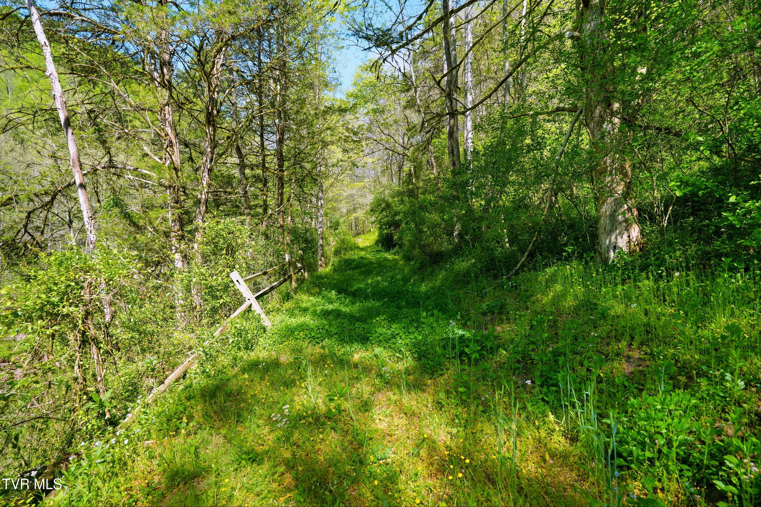 2235 Wampler Hollow Road Big Stone Gap, VA 24219 - Photo 83 of 84 *