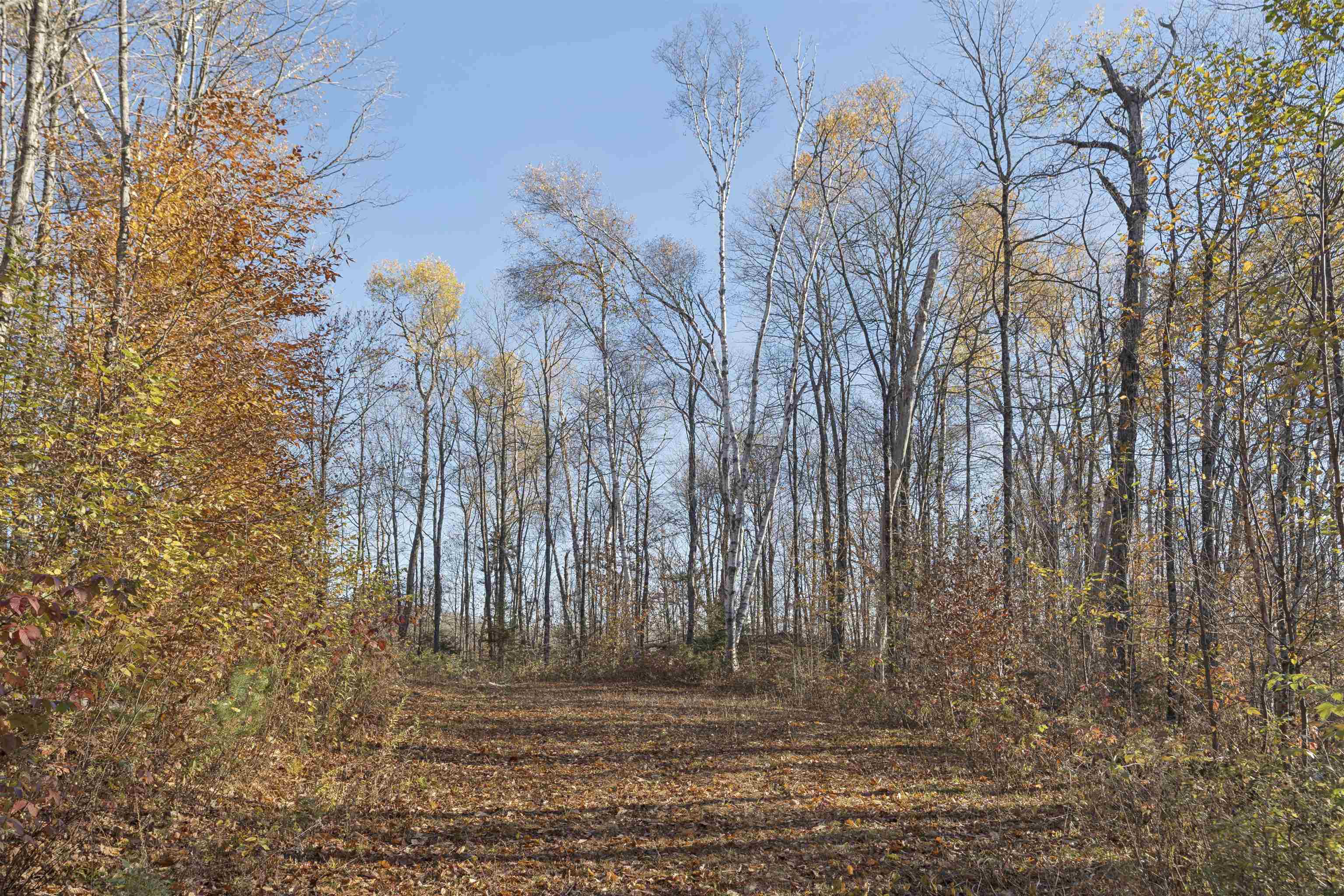 0 Wild Apple Road South Pomfret, VT 05067 - Photo 4 of 8