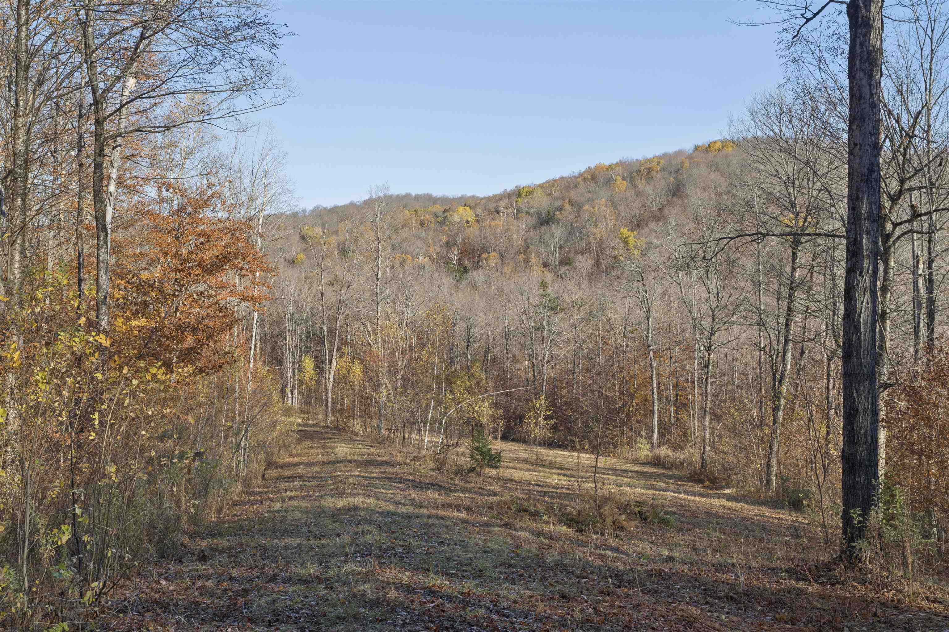 0 Wild Apple Road South Pomfret, VT 05067 - Photo 5 of 8