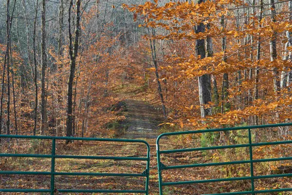 $590,000 | 0 Wild Apple Road, South Pomfret, VT 05067