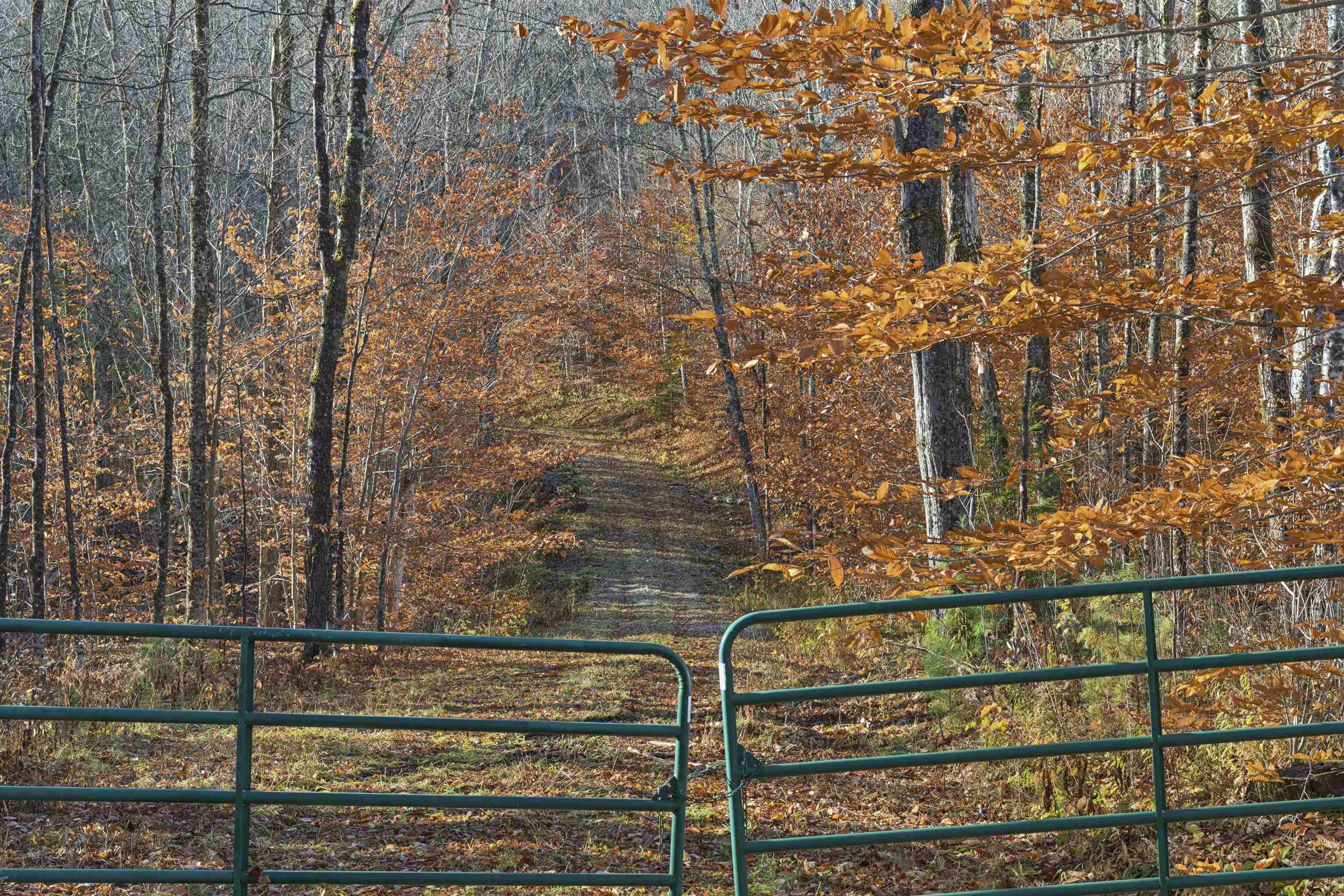 0 Wild Apple Road South Pomfret, VT 05067 - Photo 7 of 8