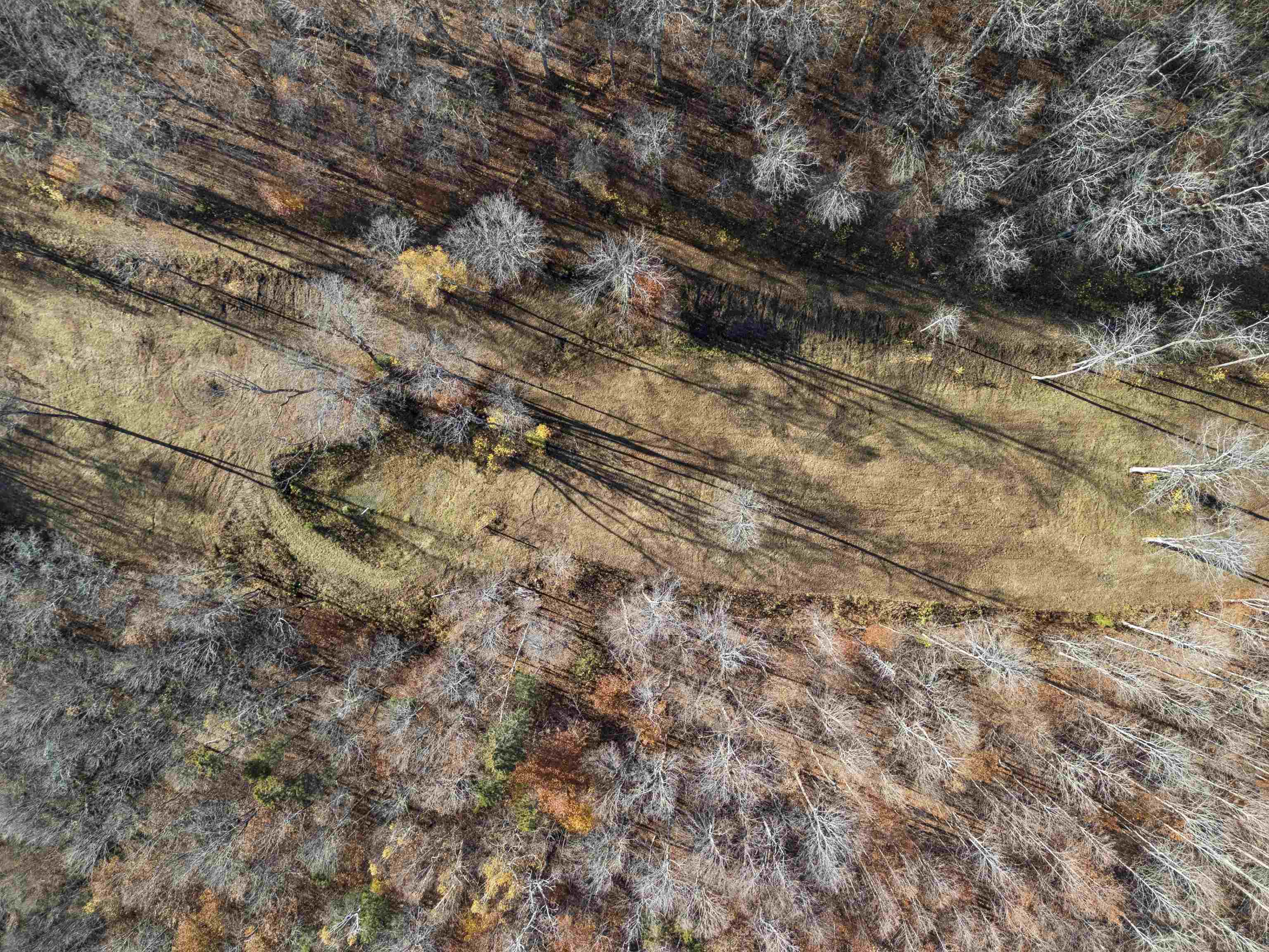 0 Wild Apple Road South Pomfret, VT 05067 - Photo 8 of 8