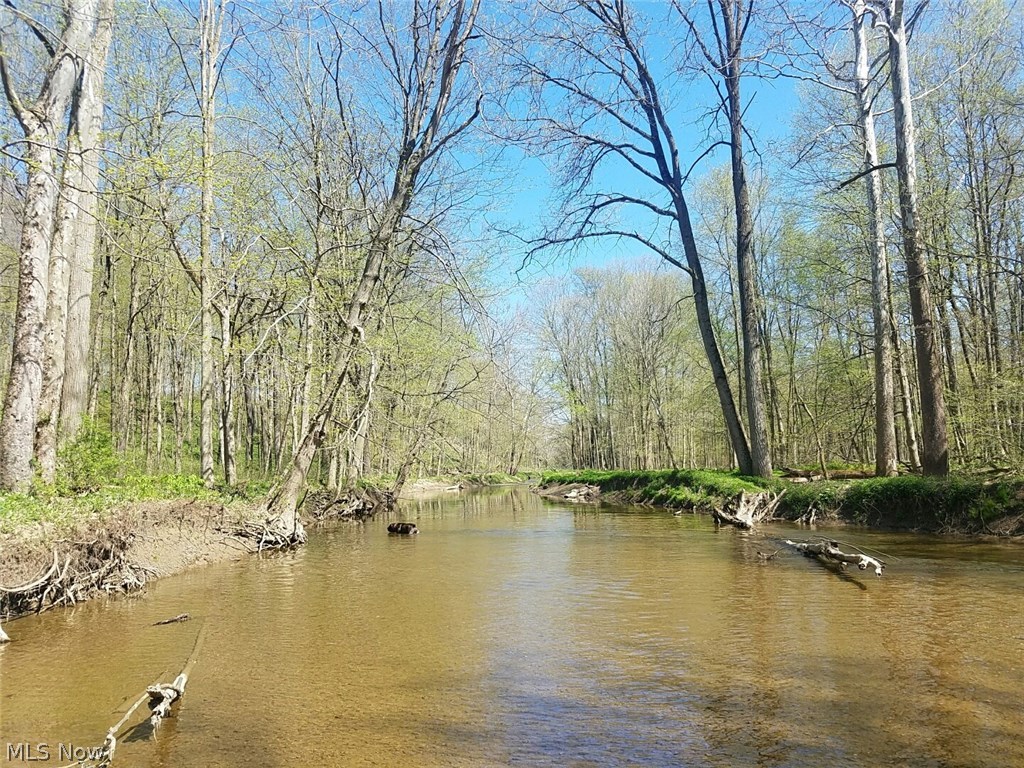 14483 West Ridge Road Novelty, OH 44072 - Photo 28 of 35 Early spring on the river
