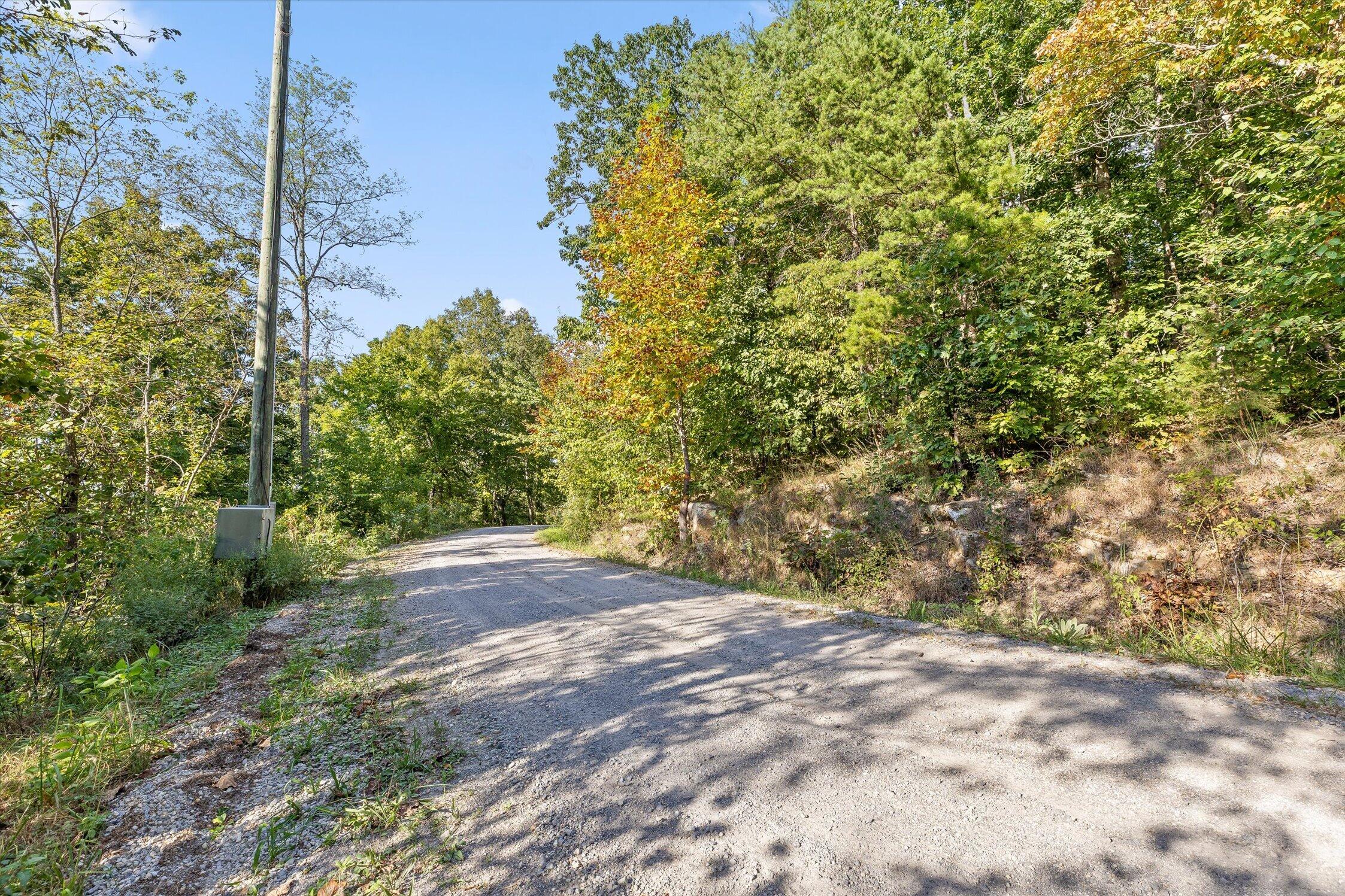0 Yankee Road Menlo, GA 30731 - Photo 39 of 47 59-Old State Rd-42