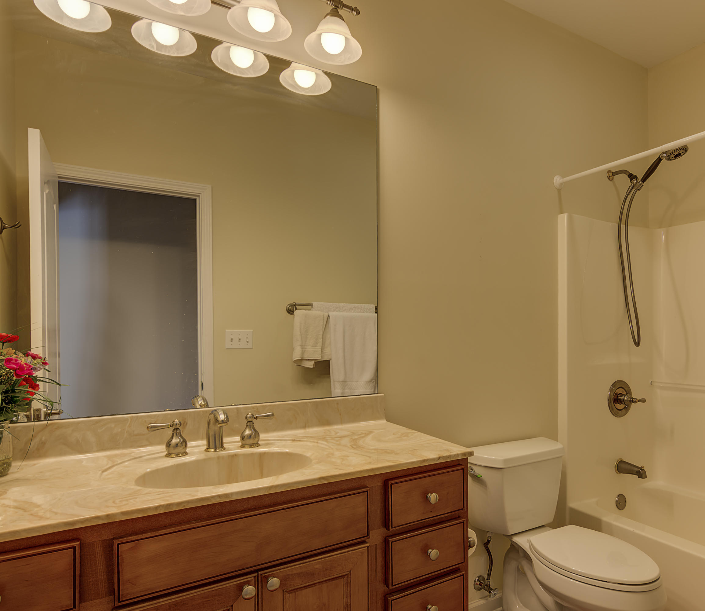 115 Liberty Court Oak Ridge, TN 37830 - Photo 15 of 20 Guest Bathroom