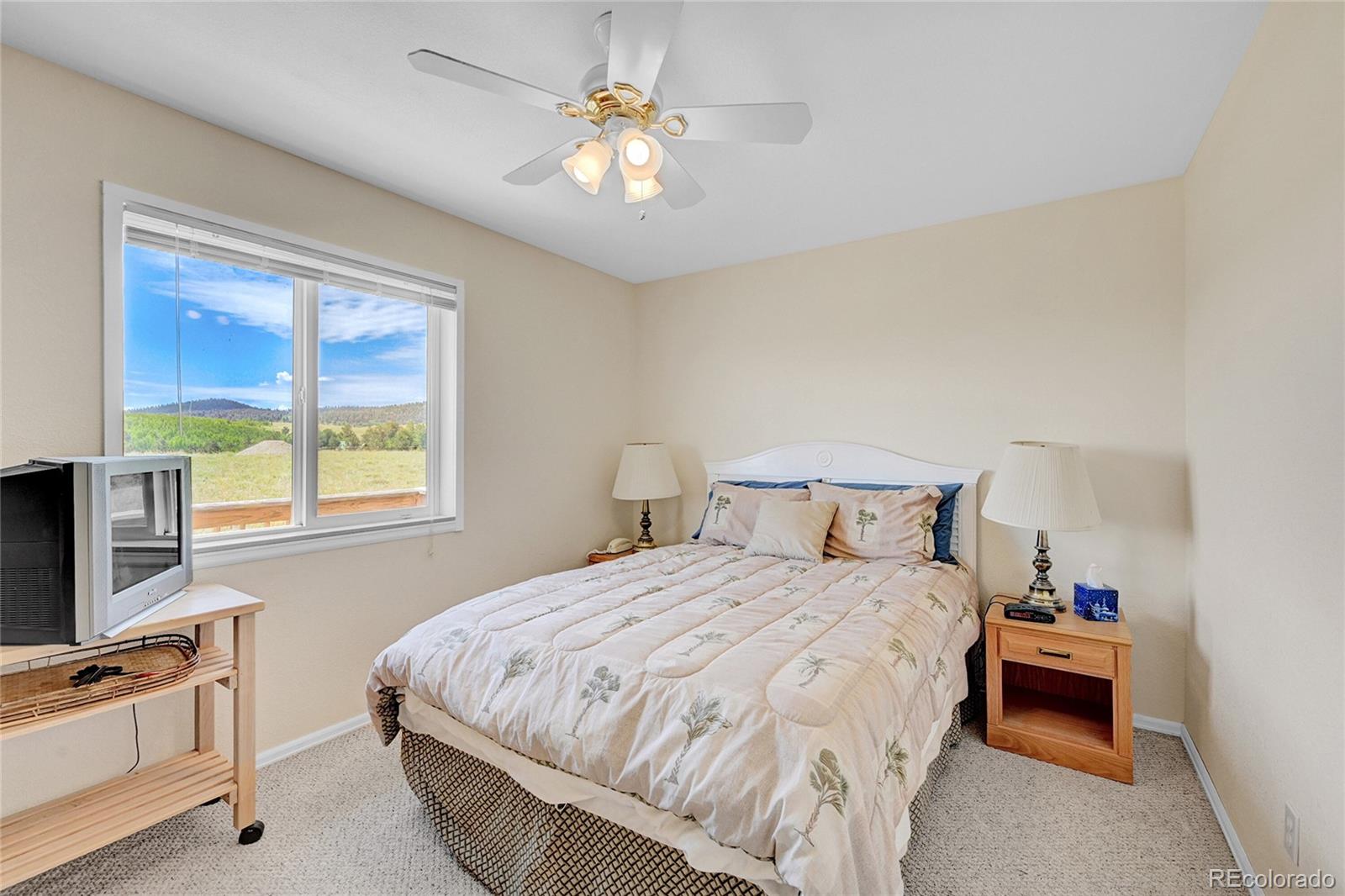 10317 Ranch Road Hartsel, CO 80449 - Photo 9 of 36