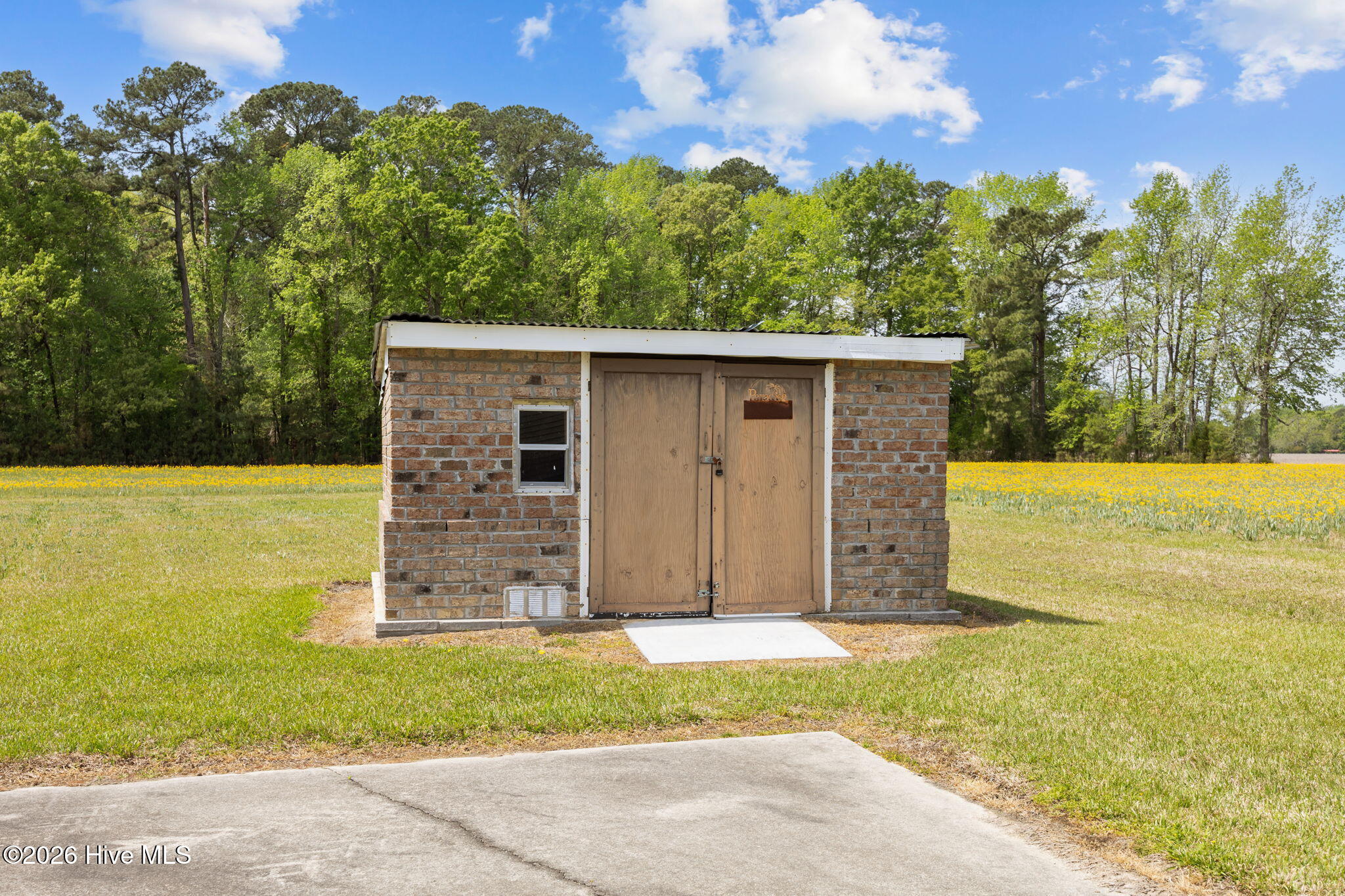 233 Boyd Acres Road Washington, NC 27889 - Photo 11 of 52 22-web-or-mls-IMG_0011