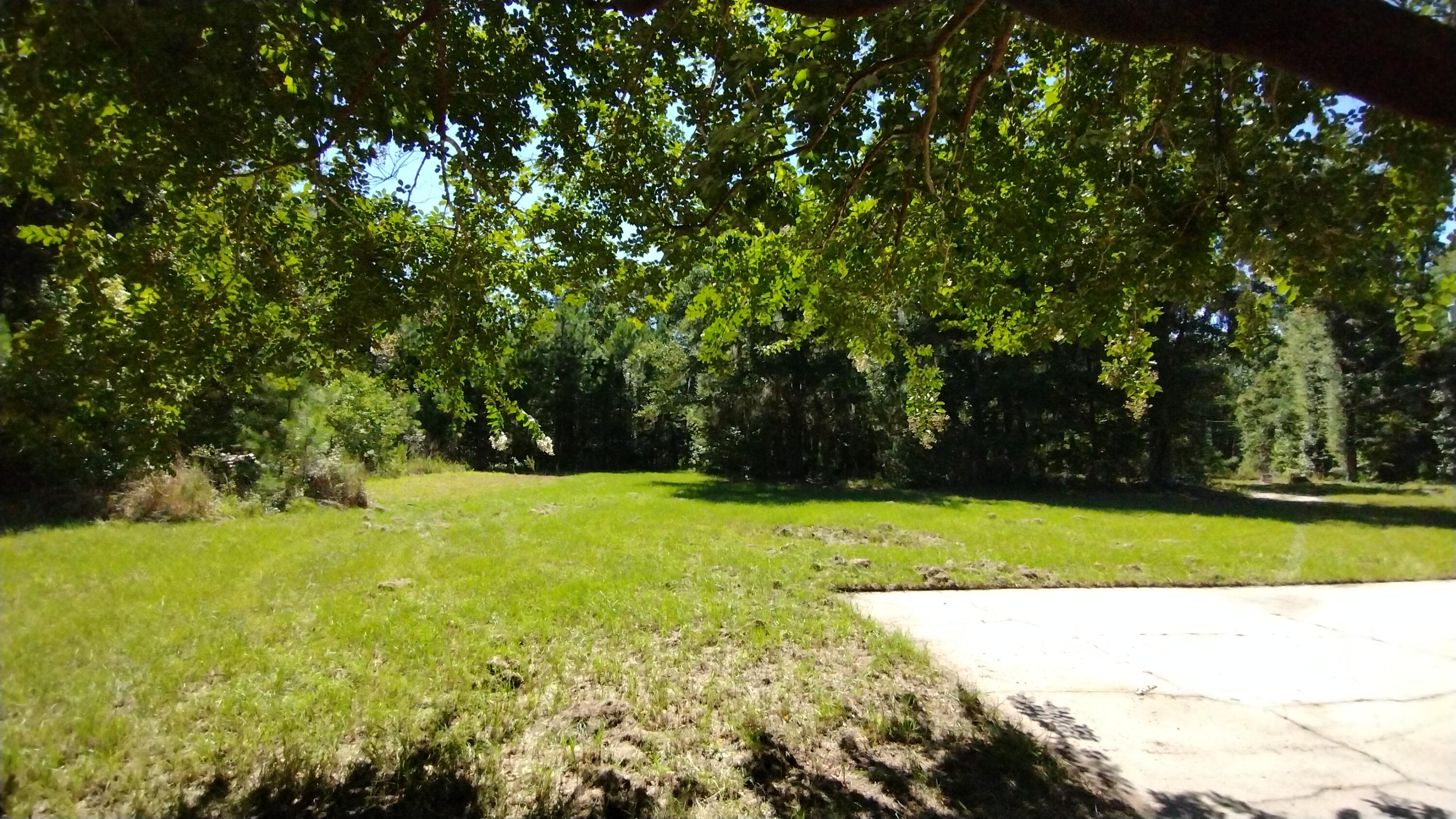 8615 Raccoon Island Road Edisto Island, SC 29438 - Photo 10 of 69 Field