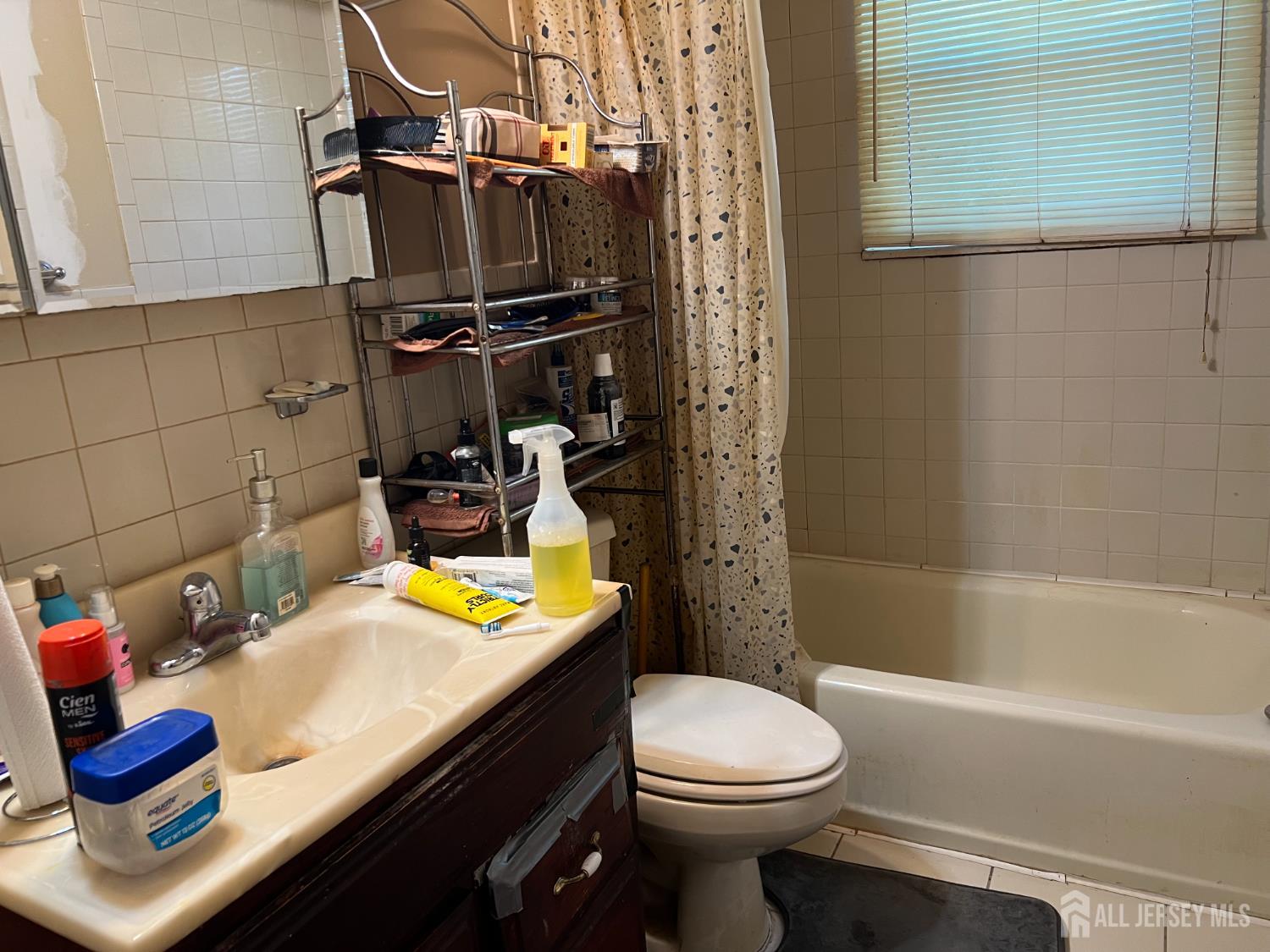 170 Evergreen Road, Unit 18A Metuchen, NJ 08840 - Photo 6 of 15 a bathroom with a sink toilet and tub