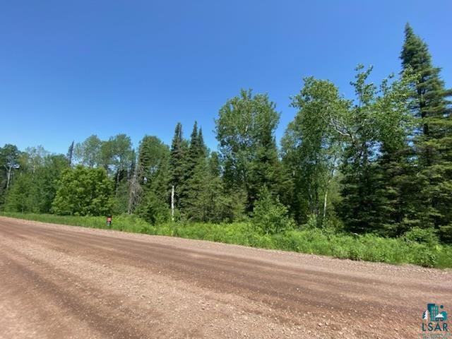 869 Forest Heights Road Two Harbors, MN 55616 - Photo 3 of 12