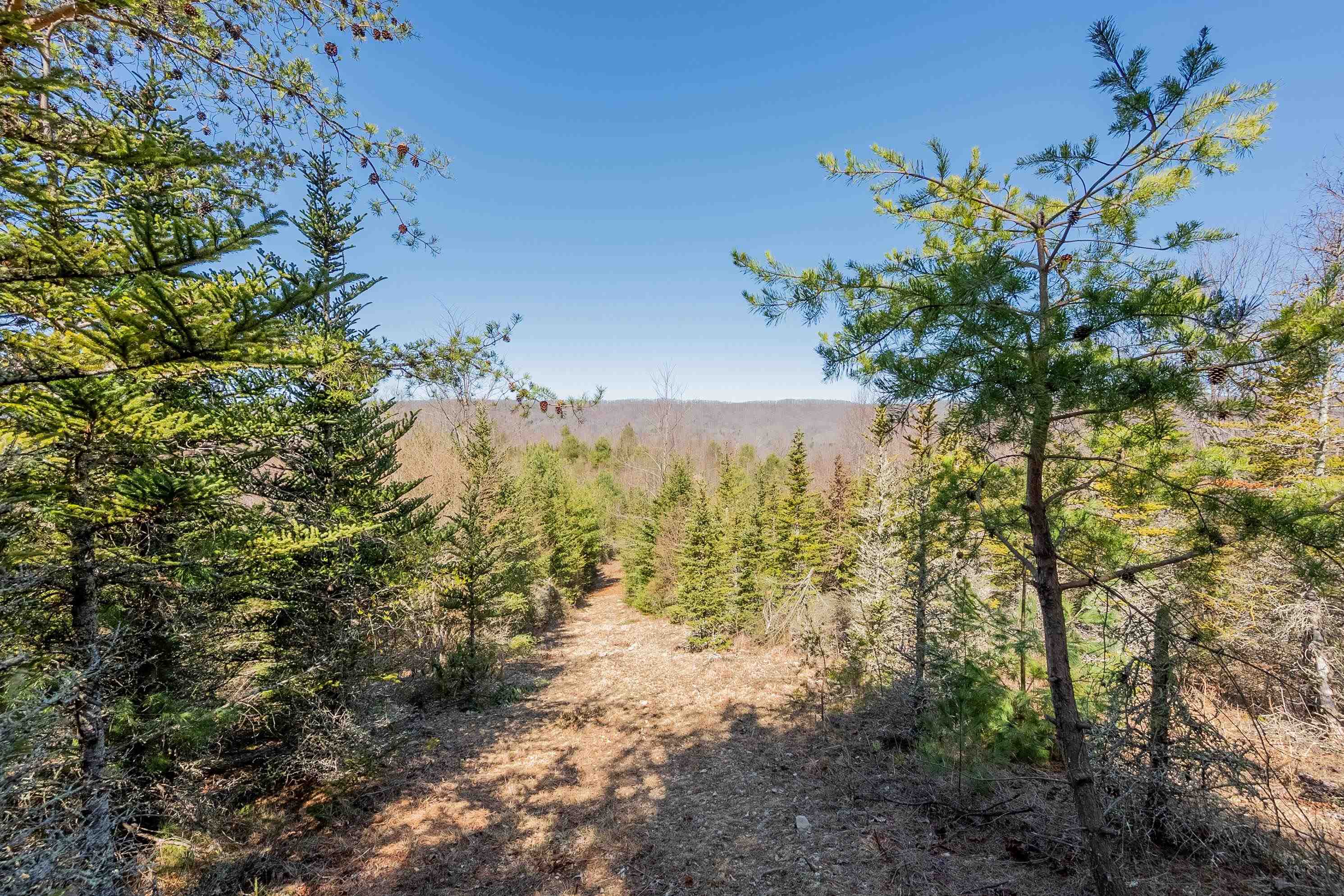 Tbd Southwest Tbd Sw Jeb Stuart Road Southwest Damascus, VA 24236 - Photo 72 of 113 Gallery Image 72