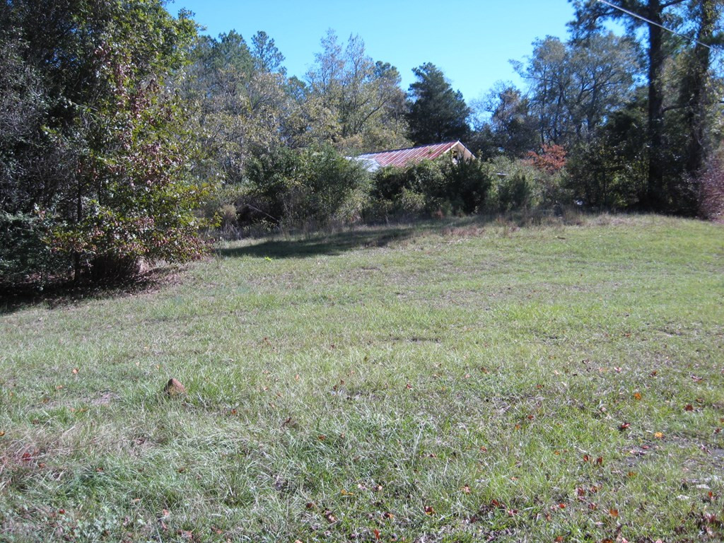 526 State Rd S-38-75 Cordova, SC 29039 - Photo 3 of 3 Photo 3