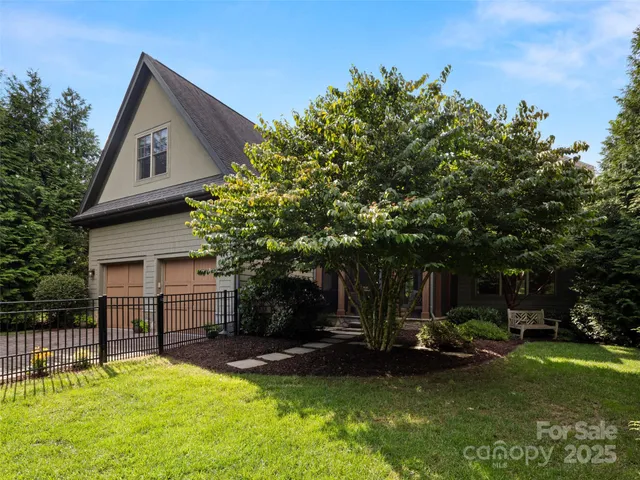 a row of potted plants and large trees