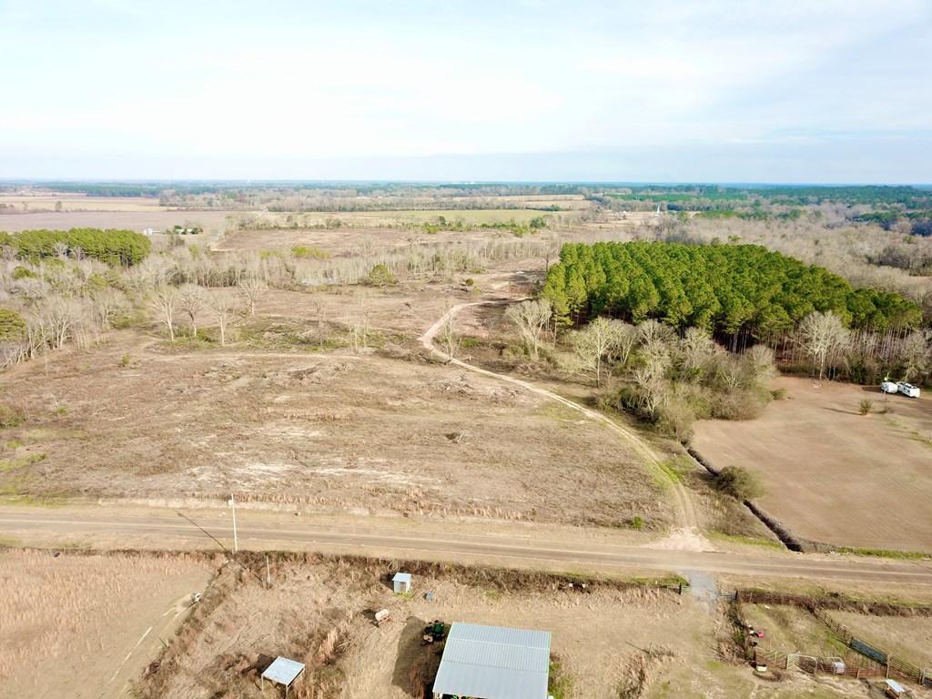 20-acres Hudson Road Columbia, AL 36319 - Photo 8 of 40