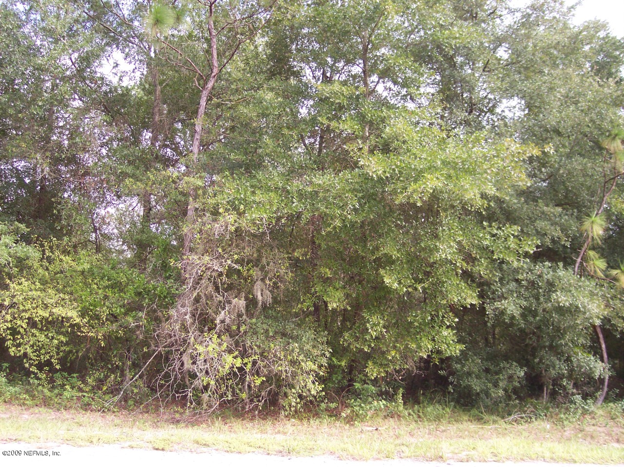 215 Riviera Drive Interlachen, FL 32148 - Photo 1 of 1 Typical Lot