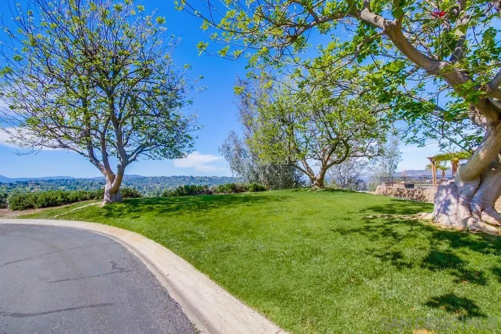 1966 Verbena Terrace Alpine, CA 91901 - Photo 40 of 41 a backyard of a house with lots of green space