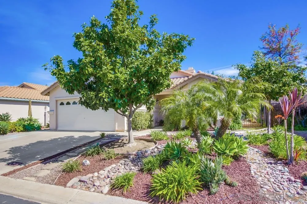 1966 Verbena Terrace Alpine, CA 91901 - Photo 5 of 41 a backyard of a house with lots of green space