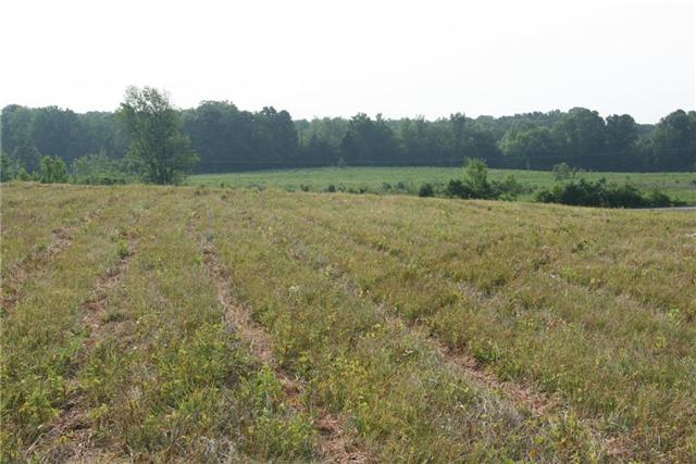 7237 Bidwell Road Joelton, TN 37080 - Photo 12 of 20 Gallery Image 12