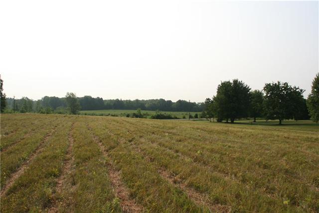 7237 Bidwell Road Joelton, TN 37080 - Photo 14 of 20 Gallery Image 14